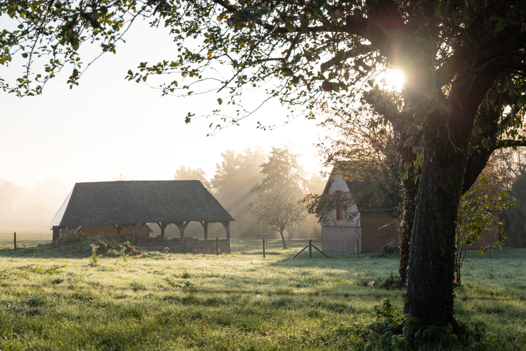 vue d’une ferme traditionnelle du pays de caux, zone d’intervention d’Immodiag pour le diagnostic immobilier Yvetot